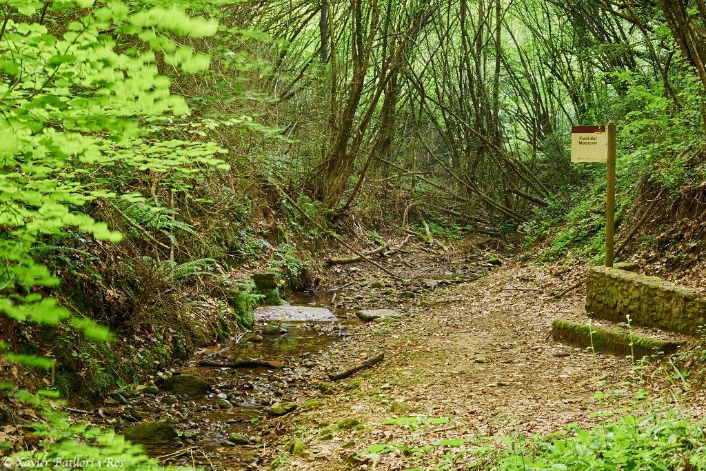Apartamentos Fonda Finet Sant Felíu de Pallarols Exteriör bild