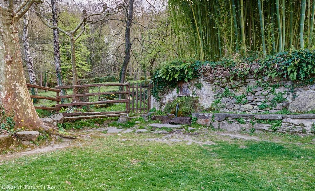 Apartamentos Fonda Finet Sant Felíu de Pallarols Exteriör bild