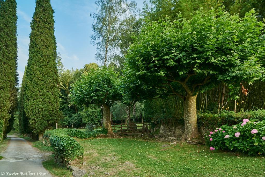 Apartamentos Fonda Finet Sant Felíu de Pallarols Exteriör bild